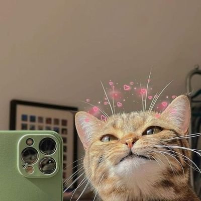 yupsheskitten's profile picture