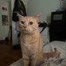 Landon profil fotoğrafı