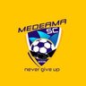 Фото профиля Medeama SC