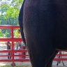 ไทยแลนด์แดนสนธยา 的头像