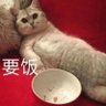Profilbild von 山门外