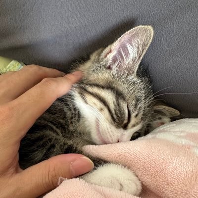 o0yamete0o's profile picture