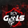 Ecv Gols 的头像