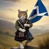 Scotland 🏴 profil fotoğrafı