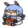 Profilbild von ヨル