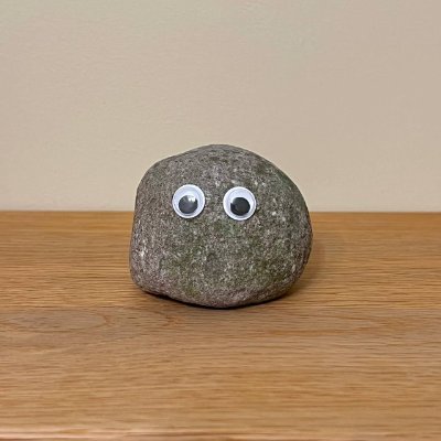 RockySolanaCoin's profile picture