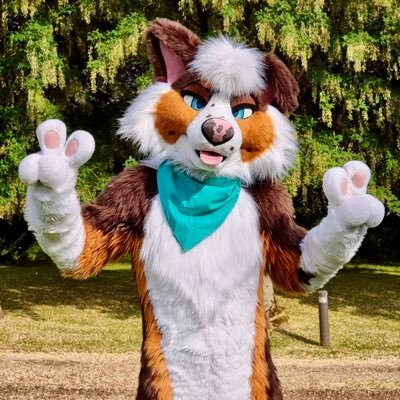 Coop 🦴's profile picture