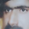 malekraisi malekrai's profile picture