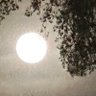 ⚪️Moon Light profil fotoğrafı