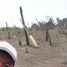 Profilbild von ကျော်ညီ