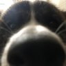 Jo' profil fotoğrafı