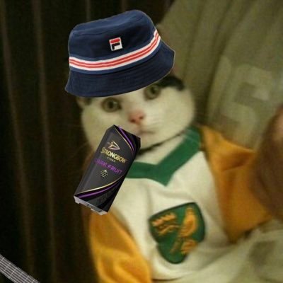 stev1ewrightfan's profile picture