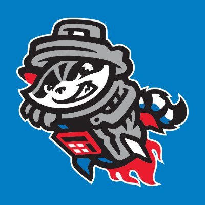 Rocket City Trash Pandas's profile picture