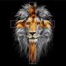 George's profile picture