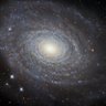 Heroofthe7Galaxies profil fotoğrafı