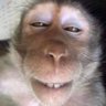 Profilbild von iazoz63 .