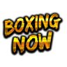 Profilbild von Boxing Now
