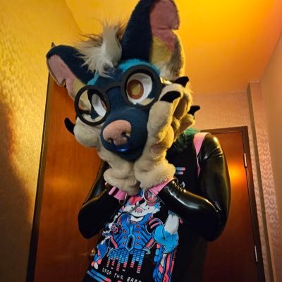 gayfoxhole's profile picture