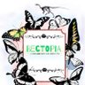Profilbild von BecTopia