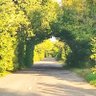 Фото профиля Паляницця