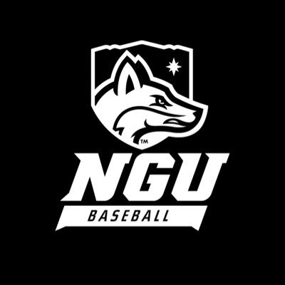 NGUBaseball's profile picture