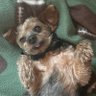 chubs101's profile picture
