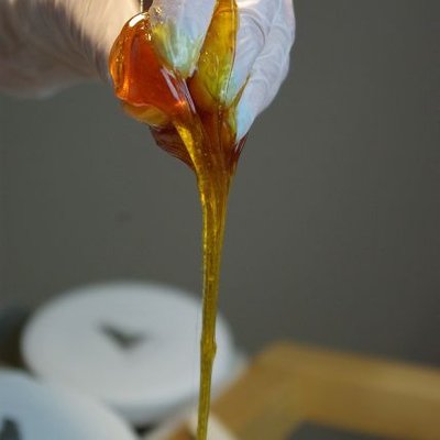 waxing112's profile picture