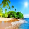 Nature Wonderful's profile picture