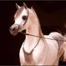 ••£ صاحبة مبدأ £••'s profile picture
