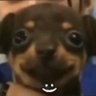Profilbild von studyacc