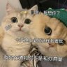 cowcc profil fotoğrafı