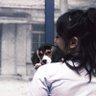 敲可爱小燕子's profile picture