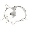 うさうさ🍒(ｵｼｬﾚな模様うたちゃん)'s profile picture