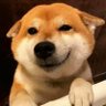 Profilbild von 绿皇帝