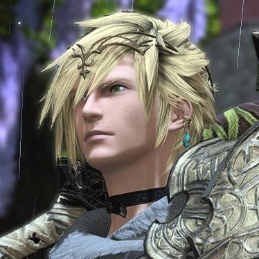 VoxerElafielXIV's profile picture