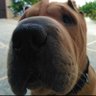 Mr.malomo profil fotoğrafı