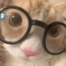 mar-woosh's profile picture