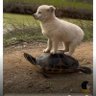 Dggfsdhjjfsaaa profil fotoğrafı