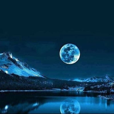 barandeniz07's profile picture