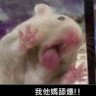 Profilbild von 見朕騎姬