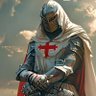 Templarius 🗡️ 的头像