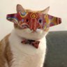 65533's profile picture
