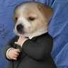 Profilbild von Hawktuah