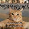 نوح profil fotoğrafı