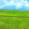Agronomist 的头像