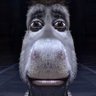 Hasonkey's profile picture