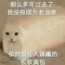 Фото профиля 芝士榴莲奶盖盖饭