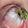 Tachame La Doble profil fotoğrafı