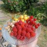 Фото профиля Esra Hayriye Aykul