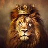 King 的头像